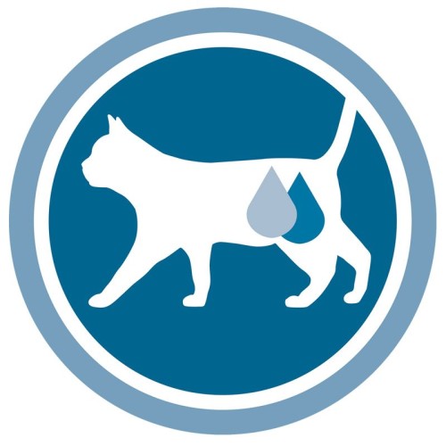 81701_purinaone_sterilcat_icon_urinarysystem_7.jpg